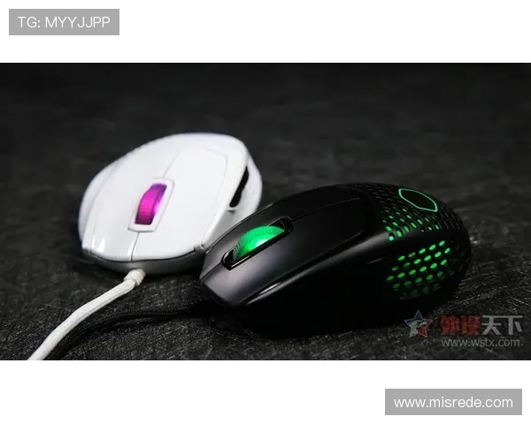 PPG国际服下载途径推荐与安全保障,确保游戏体验顺畅 PPG国际服下载途径推荐与安全保障,确保游戏体验顺畅