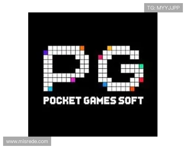 PG电子官方网站最新安全保障措施全面解析，保障玩家资金与信息安全